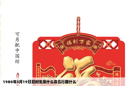 1980年5月19日丑时生是什么命五行属什么
