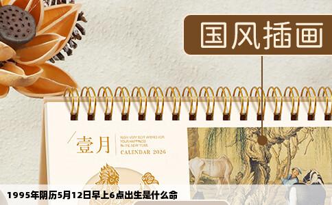 1995年阴历5月12日早上6点出生是什么命