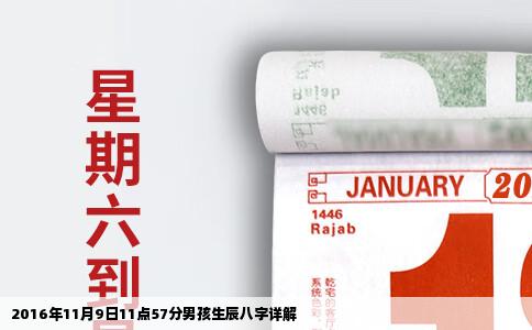 2016年11月9日11点57分男孩生辰八字详解