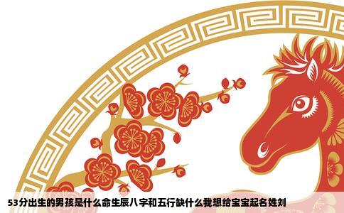53分出生的男孩是什么命生辰八字和五行缺什么我想给宝宝起名姓刘