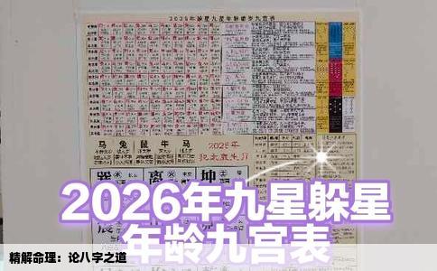 精解命理：论八字之道