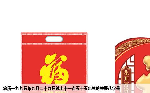 农历一九九五年九月二十九日晚上十一点五十五出生的生辰八字是