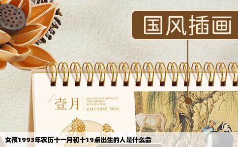 女孩1993年农历十一月初十19点出生的人是什么命