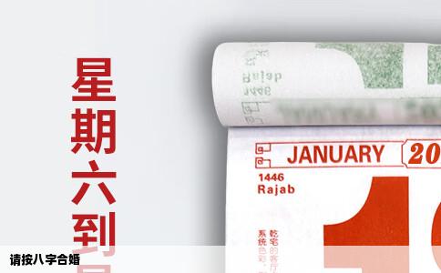 请按八字合婚