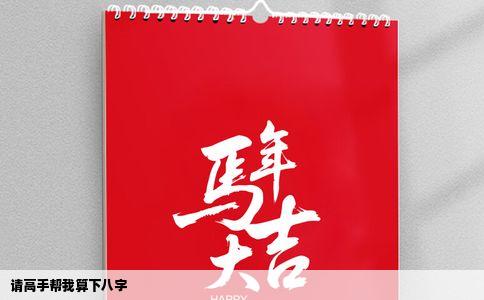 请高手帮我算下八字