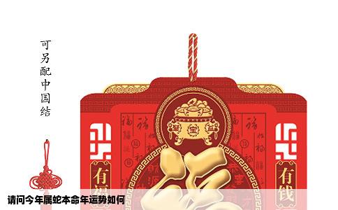 请问今年属蛇本命年运势如何