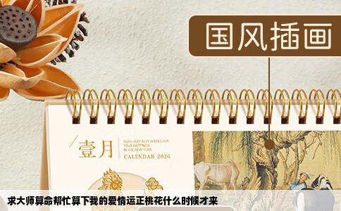 求大师算命帮忙算下我的爱情运正桃花什么时候才来