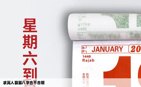 求高人算算八字合不合啊