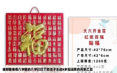 谁帮我看看八字我的八字己巳丁卯戊子壬戌8岁起运男的丙寅乙丑