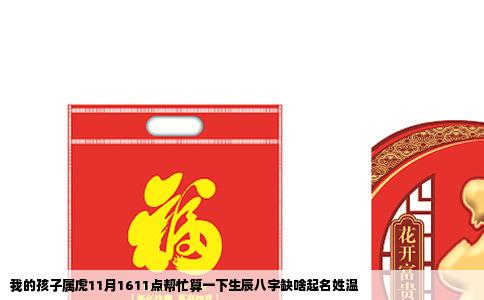 我的孩子属虎11月1611点帮忙算一下生辰八字缺啥起名姓温