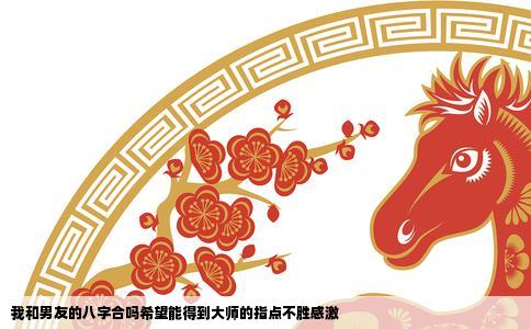 我和男友的八字合吗希望能得到大师的指点不胜感激