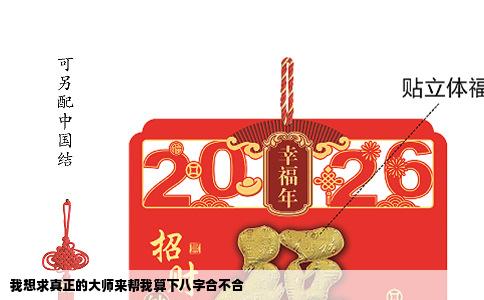 我想求真正的大师来帮我算下八字合不合
