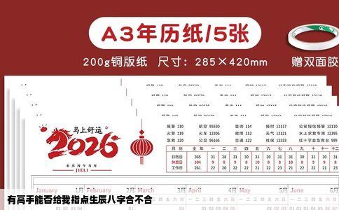 有高手能否给我指点生辰八字合不合