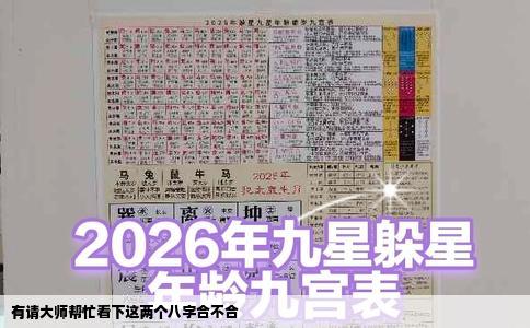 有请大师帮忙看下这两个八字合不合