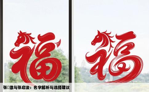 张珺澈与张启浚：名字解析与选择建议