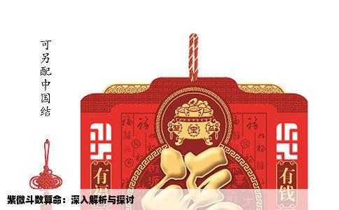 紫微斗数算命：深入解析与探讨