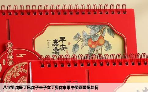 八字男戊辰丁巳戊子壬子女丁卯戊申甲午癸酉婚配如何