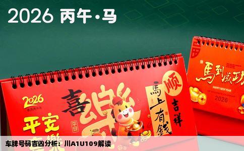 车牌号码吉凶分析：川A1U109解读