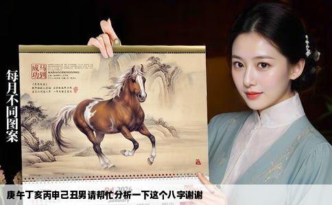 庚午丁亥丙申己丑男请帮忙分析一下这个八字谢谢