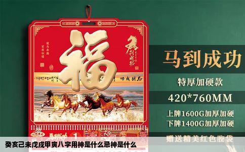 癸亥己未戊戌甲寅八字用神是什么忌神是什么