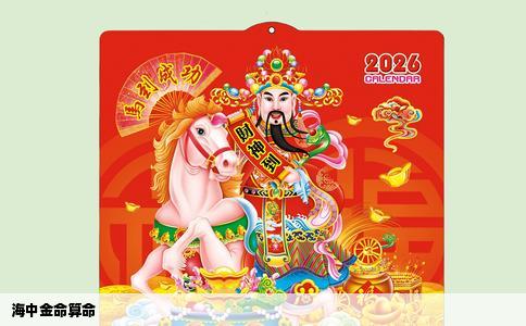 海中金命算命