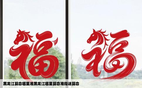 黑龙江算命哪里准黑龙江哪里算命准指迷算命