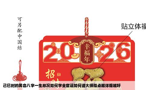 己巳时的男命八字一生总况如何学业官运如何请大师指点越详细越好