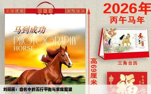 刘延辰：命名中的五行平衡与家庭期望