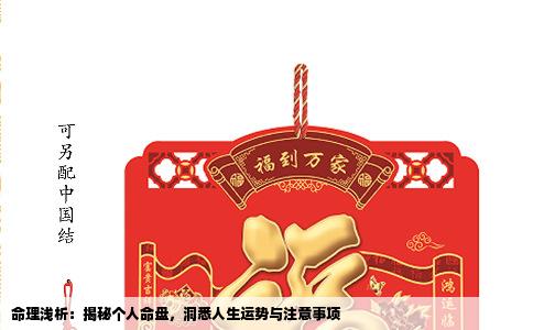 命理浅析：揭秘个人命盘，洞悉人生运势与注意事项