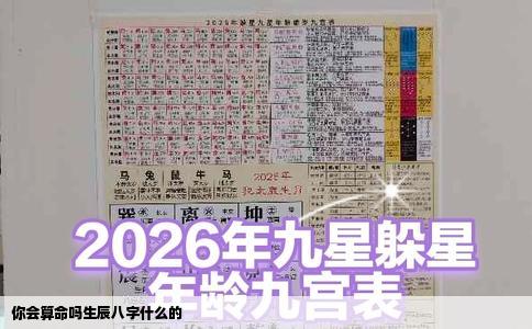 你会算命吗生辰八字什么的
