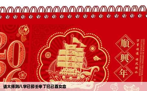请大师测八字已卯壬申丁巳已酉女命