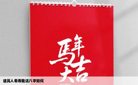 请高人看看我这八字如何