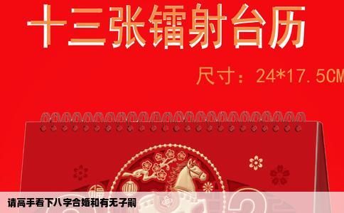 请高手看下八字合婚和有无子嗣