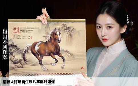 请教大师这两生辰八字配对如何