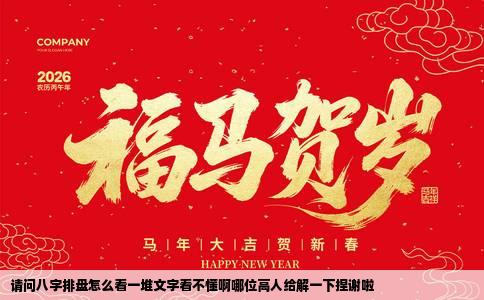 请问八字排盘怎么看一堆文字看不懂啊哪位高人给解一下捏谢啦