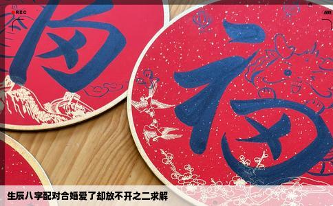 生辰八字配对合婚爱了却放不开之二求解