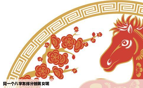 同一个八字怎样分辨男女呢