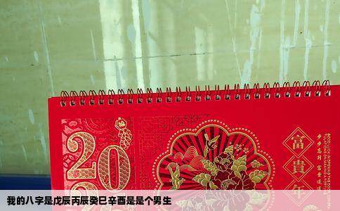 我的八字是戊辰丙辰癸巳辛酉是是个男生