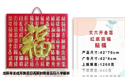 戊辰年壬戌月癸丑日丙辰时男命五行八字解析