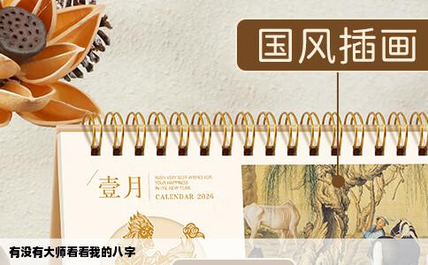 有没有大师看看我的八字